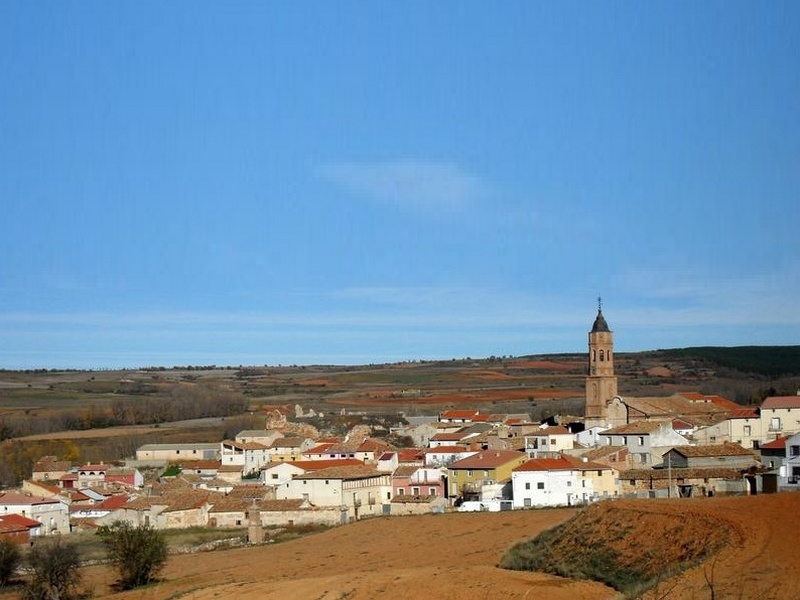 49796_TORRECILLA (3).jpg